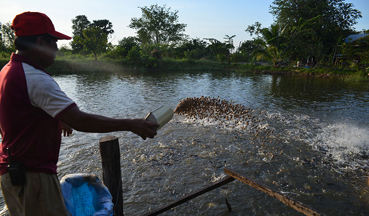 Aquaculture fair to boost awareness of farmed fish quality